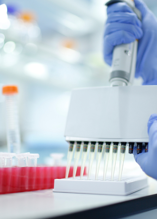 Disposable Medical & Laboratory Supplies